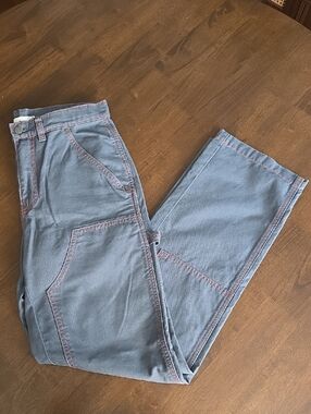 BDG Carpenter Pants